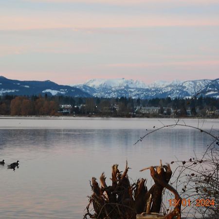 Estuary House Reflexology B&B Courtenay Exteriör bild