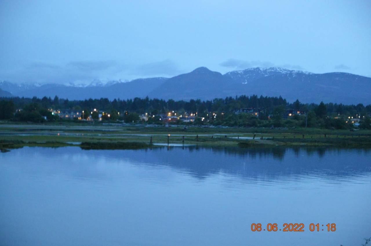 Estuary House Reflexology B&B Courtenay Exteriör bild