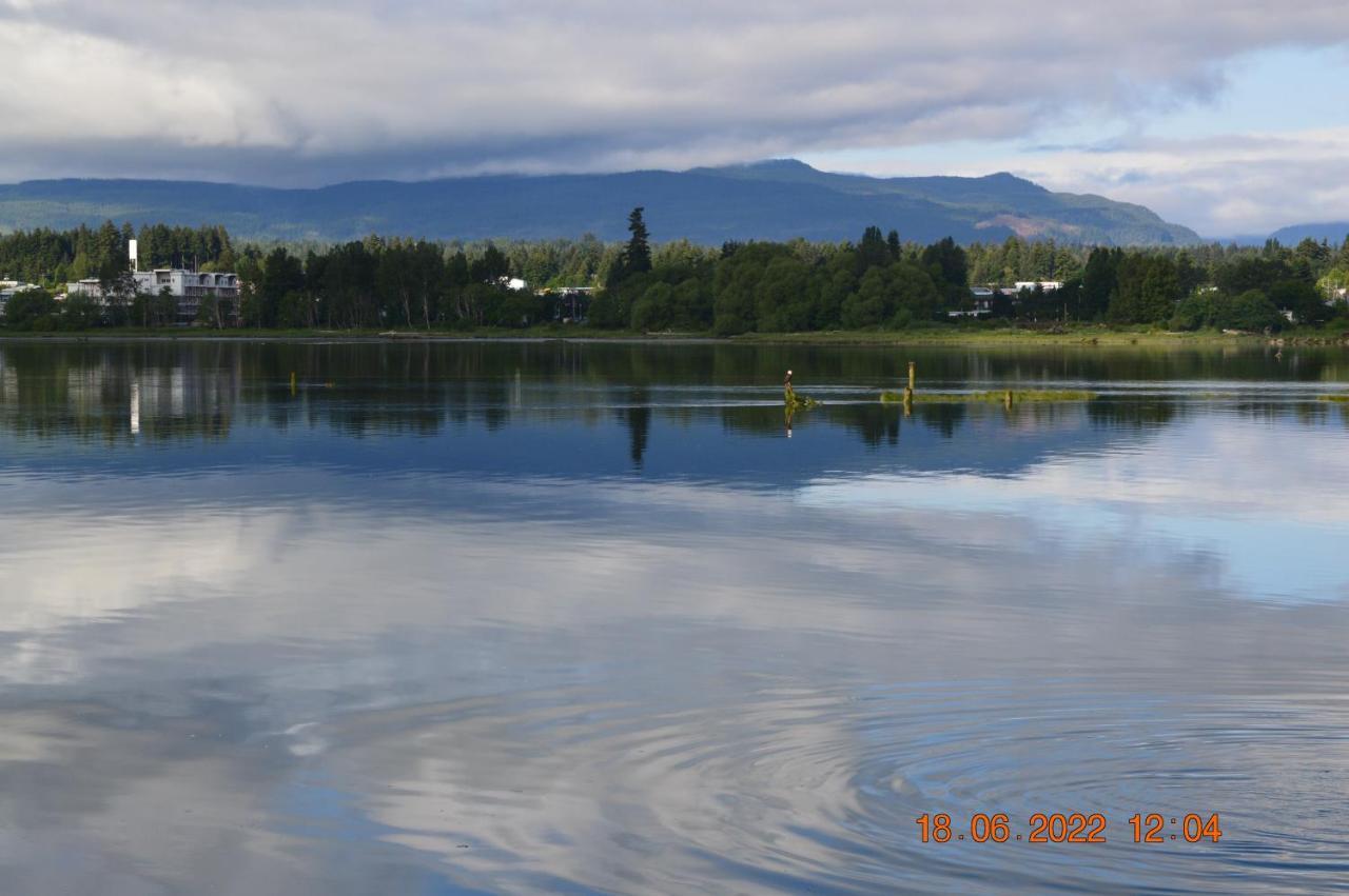 Estuary House Reflexology B&B Courtenay Exteriör bild