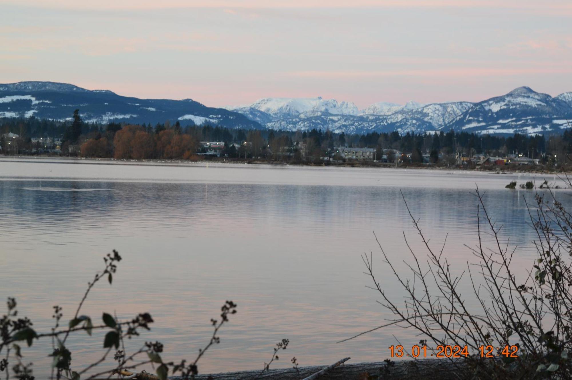 Estuary House Reflexology B&B Courtenay Exteriör bild