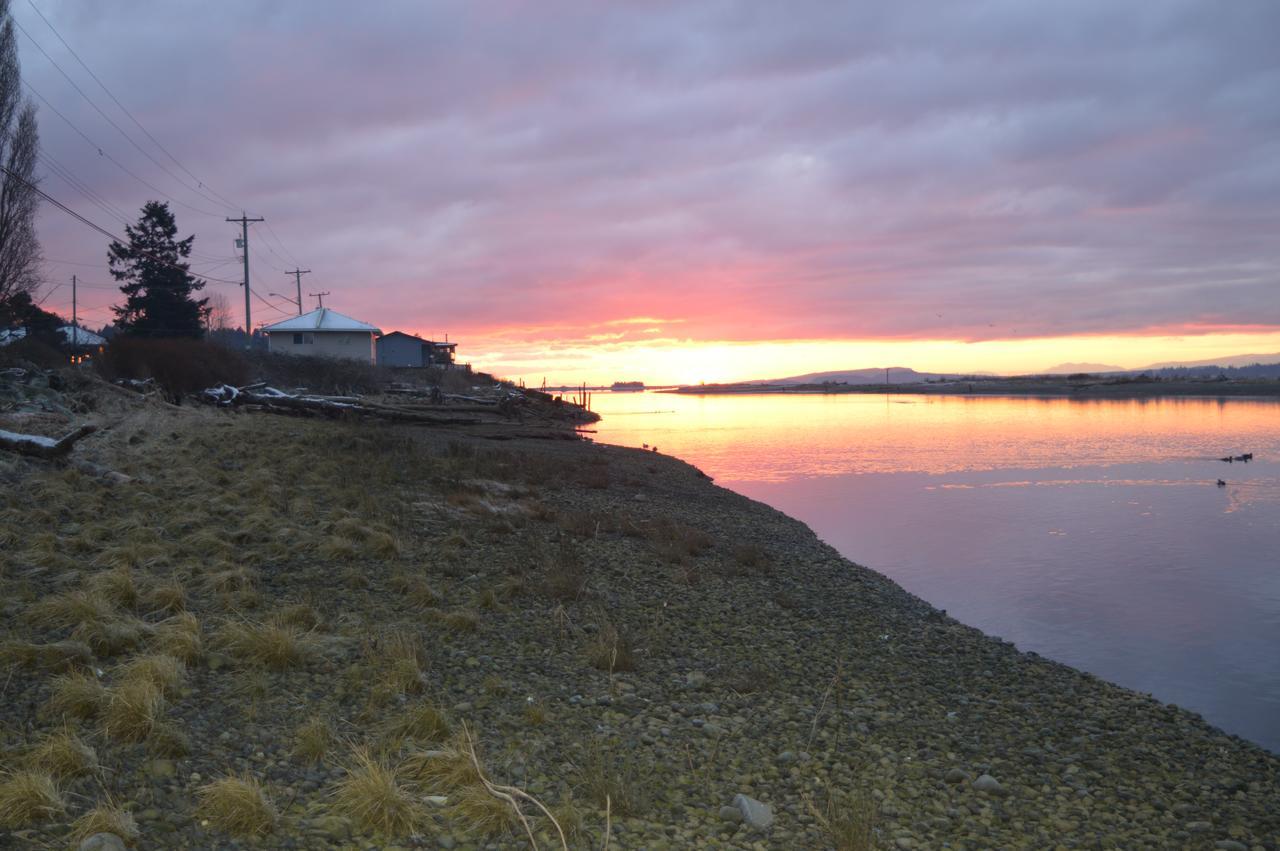 Estuary House Reflexology B&B Courtenay Exteriör bild