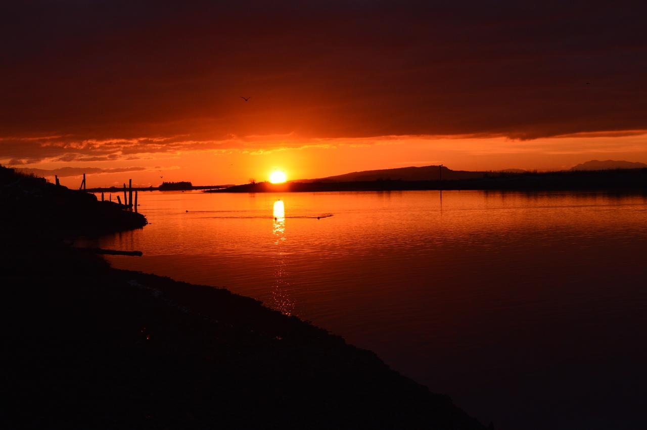 Estuary House Reflexology B&B Courtenay Exteriör bild